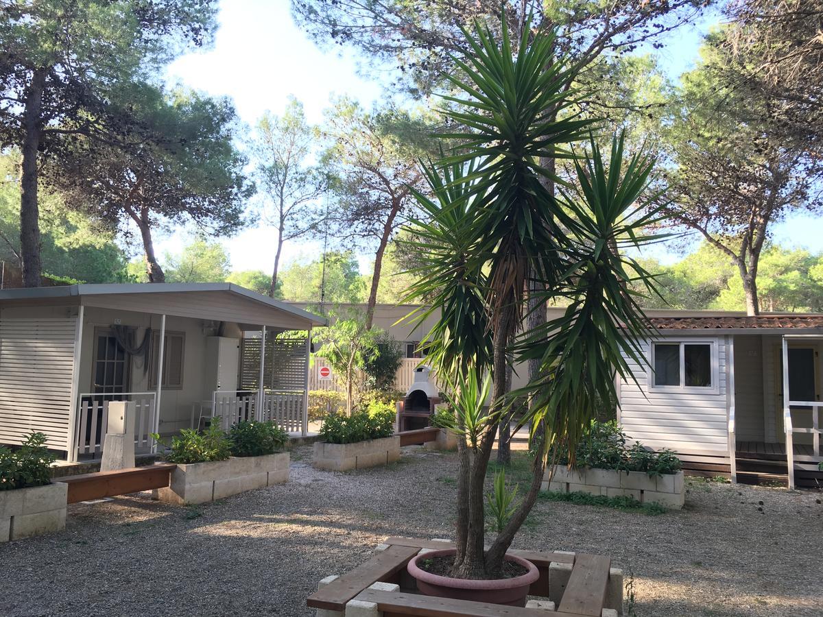 Riva Dei Greci Camping Village Metaponto Ngoại thất bức ảnh